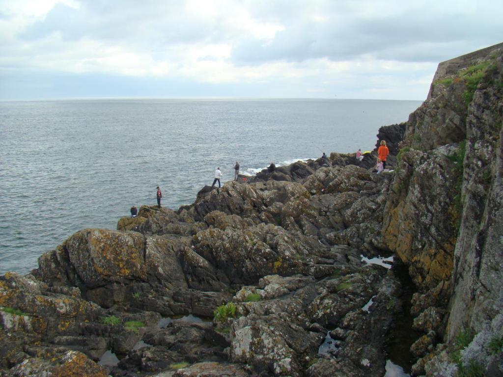 Fernhill House Tramore B&B Екстер'єр фото