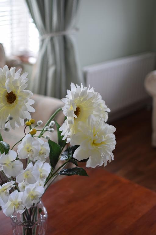 Fernhill House Tramore B&B Екстер'єр фото